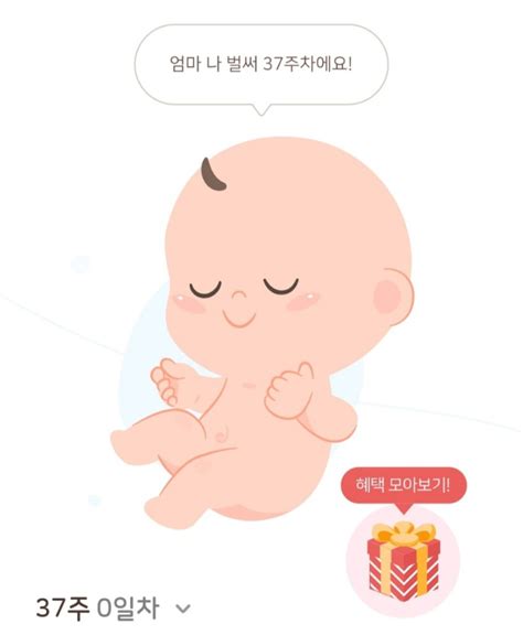 임신 36 37주 차 증상 드디어 10개월 막달진입 골반통 Y존통증 사르르 가진통 네이버 블로그