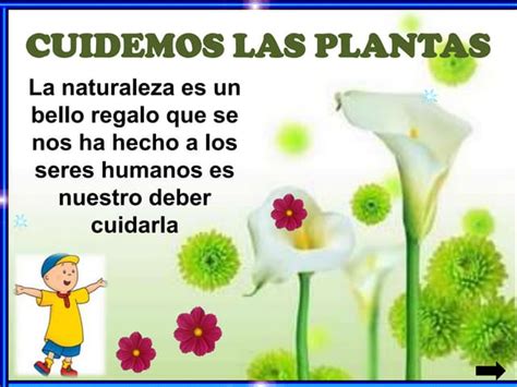 Cuidemos Las Plantas Ppt