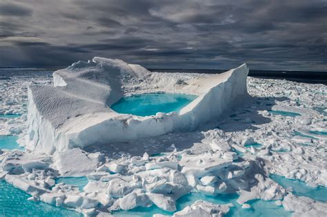 Arctic Wildlife's Last Habitat Will Be Ice Strip