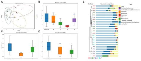 Frontiers Sex Hormones Influence The Intestinal Microbiota