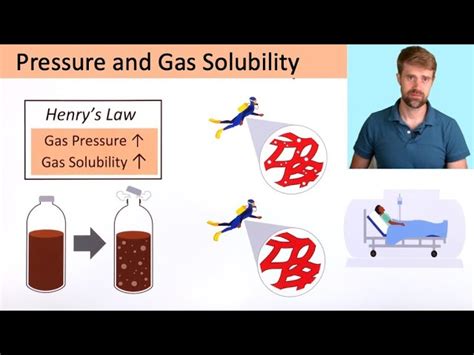 Why Is The Effect Of Temperature On Gas Solubility Significant