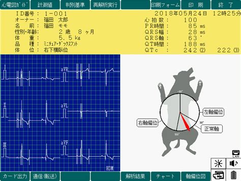 フクダME 動物用心電図自動解析装置 D800 - 動物病院開業サポート 株式会社M&T（エムアンドティー）