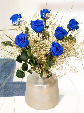 Blaue Rosen Rosenversand Surprose De