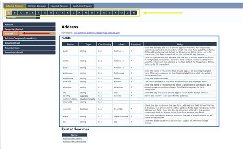 Netsuite Records Browser For Dummies