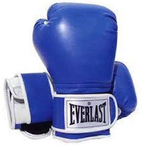 12 Oz Everlast Boxing Gloves Professional Boxing Muay Thai Training