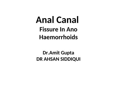 Pdf Anal Canal Hemorrhoids Presentation