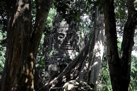 Cambodia Jungle Temples Image Gallery