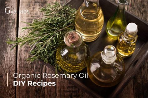 Discover the Recipes Of Organic Rosemary Oil