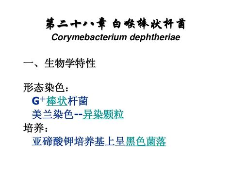 第28章 白喉棒状杆菌word文档在线阅读与下载免费文档