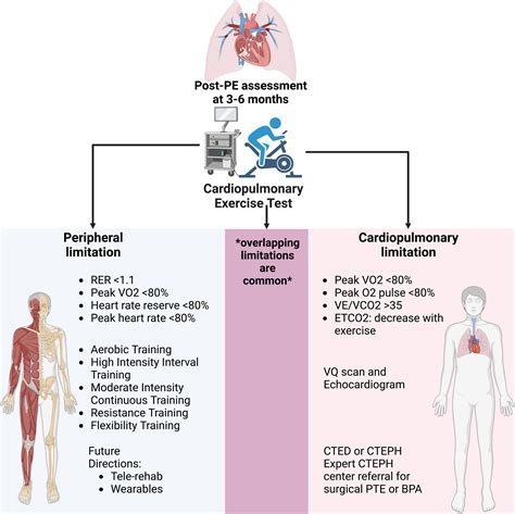 Cardiopulmonary Exercise Testing Rehabilitation And Exercise Training