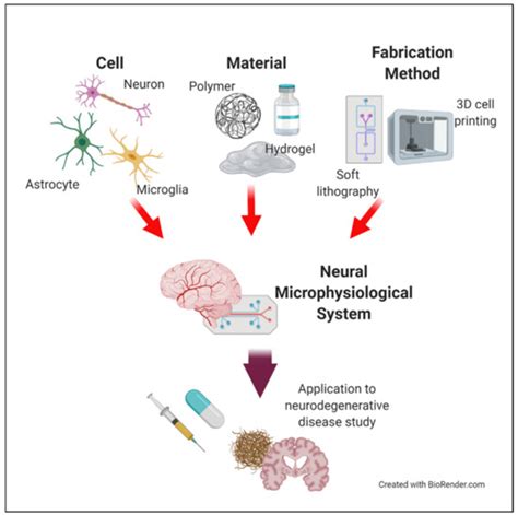 Micromachines Free Full Text Microphysiological Systems For