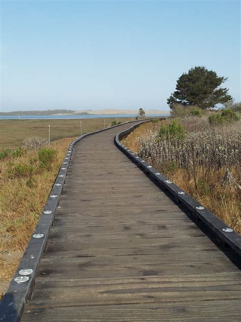 What To Do In Morro Bay Morro Bay National Estuary Program