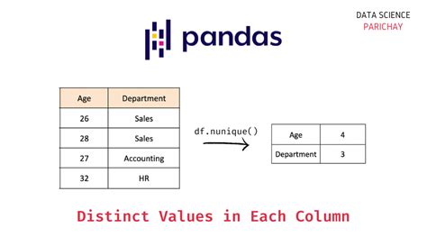 Count Number Of Unique Values In Each Column Pandas Printable