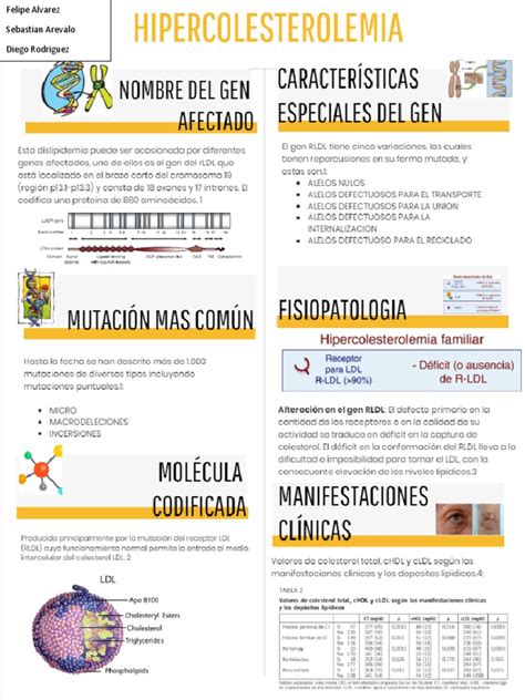 Infografia Hipercolesterolemia Final Pdf