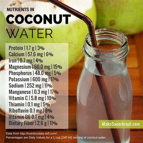 Fermented Coconut Water The Complete Guide Makesauerkraut