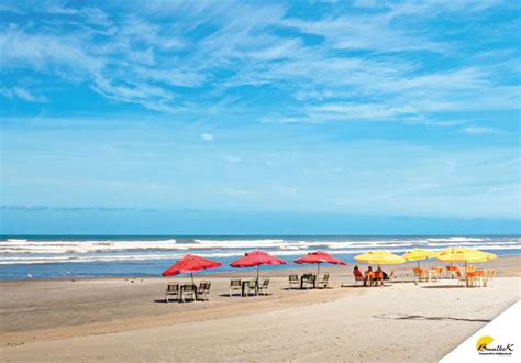 Quais Praias Conhecer Em Mongagu