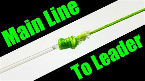 How To Tie A Leader To A Main Line For Beginners Youtube