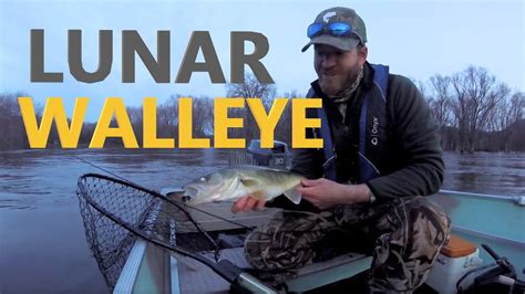 Lunar Walleye Targeting Spring Run Walleye During Full Moon