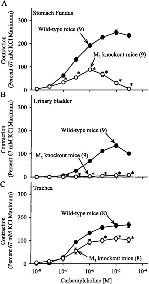 Cumulative Contractile Response To Carbamylcholine In Stomach Fundus