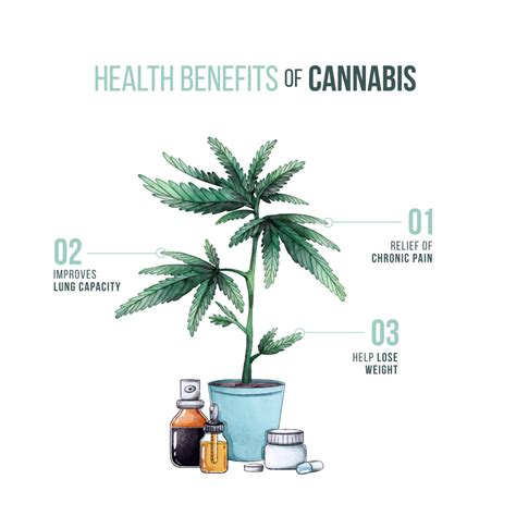 How to Understand Marijuana And Heart Health | weed Benefits. - Blog About Cannabis | Marijuana