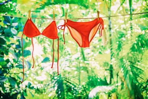 Eco Friendly Bikini Design Trends Fast Fashion News