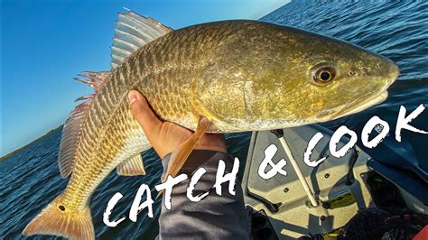 Kayak Redfish Catch And Cook Easiest Way To Fry Fish YouTube