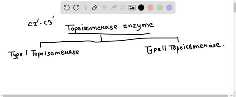 You have discovered an enzyme secreted by a particularly virulent ...