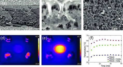 Sem Micrographs Of Cose Wt In Pdms Pvdf Membrane A