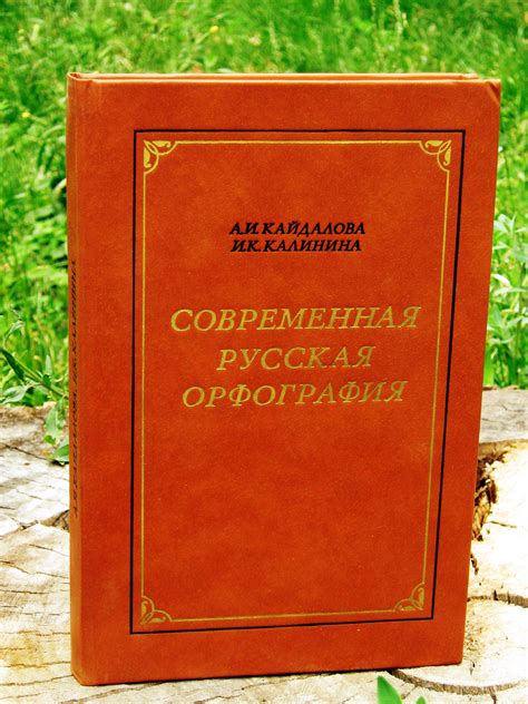 Орфография | это... Что такое Орфография?