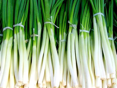 Discover the Amazing Benefits of Scallion