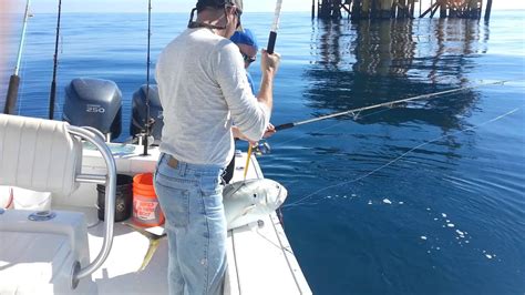 Fishing 50 miles offshore Port Aransas. - YouTube