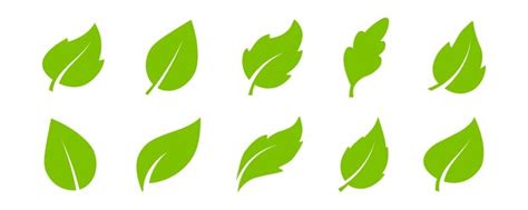 Premium Vector Set Of Leaf Icons In Flat Style Collection With Green