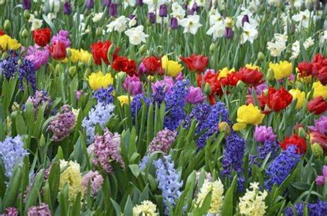 Flores De Primavera Rompecabezas En L Nea