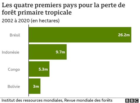 Déforestation quels sont les pays qui continuent à abattre des arbres