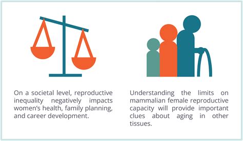 Female Aging Gcrle