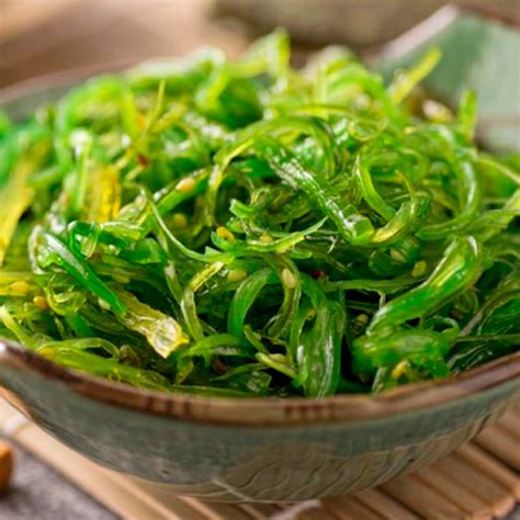 Alga Kelp – Conética