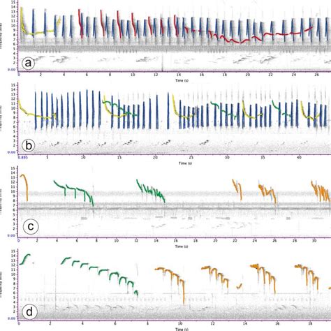 Spectrogram Of Duet Call Phrases From Four Different Acoustic Forms Of