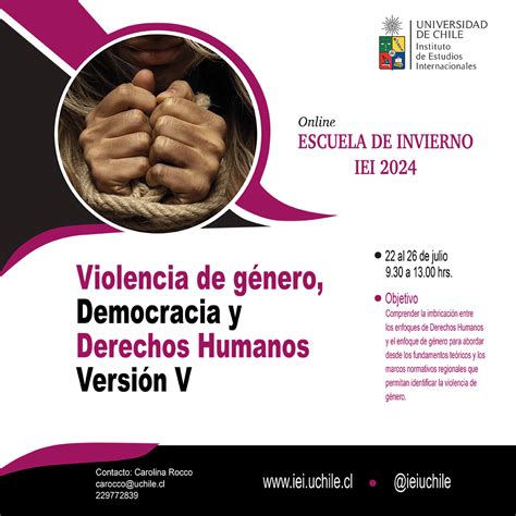 Violencia De Género Democracia Y Derechos Humanos Versión V