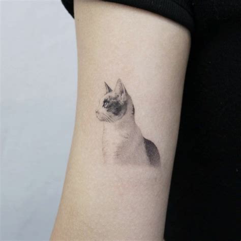 Tatuajes De Gatos Los Mejores Dise Os Que Vas A Encontrar En La Red