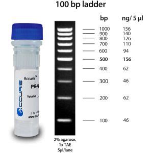 Accuris Smartcheck Bp Dna Ladder Morganville Scientific