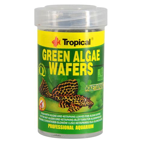 TROPICAL Pokarm GREEN ALGAE WAFERS 100ml Glonojad 6942775698 Allegro Pl