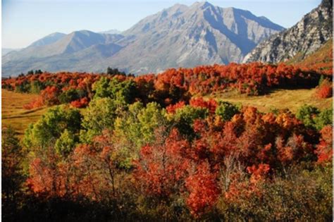 Uinta-Wasatch-Cache National Forest