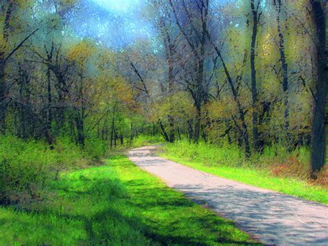 Woodland Trail Photograph By Cedric Hampton Fine Art America