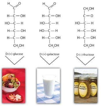 Common Monosaccharides – Chemistry of Food and Cooking