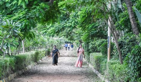 Lakes Of Bengaluru Rejuvenated In 2017 Kowdenahalli Lake Is Once