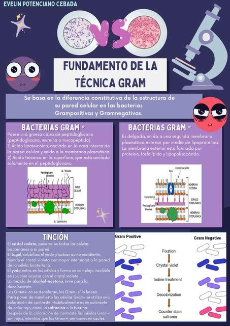 Tinción Gram Potenciano Cebada Evelin Udocz