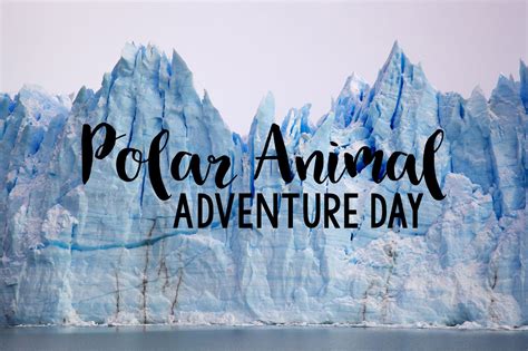 We had polar animal adventure day in first grade last week. Polar ...