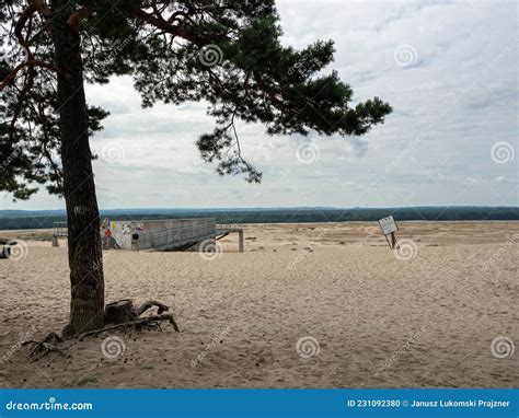 Bledowska Desert Sand The Largest Area Of Quicksand In Poland Located