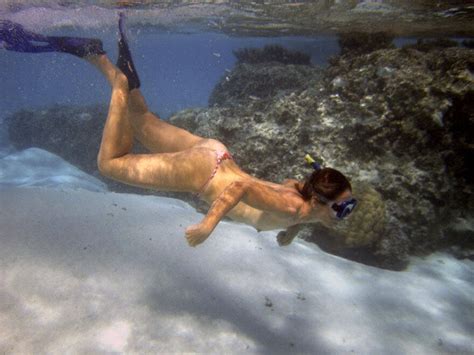 Snorkel Scuba And Free Diving Vol O Unwtr S Porn Pic