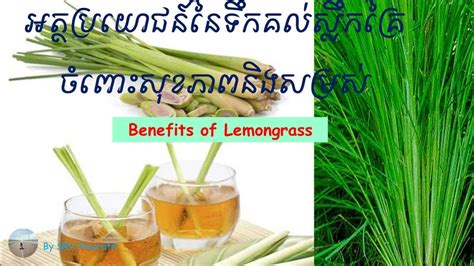 Benefits of Lemongrass អតថបរយជននសលកគរ Health YouTube